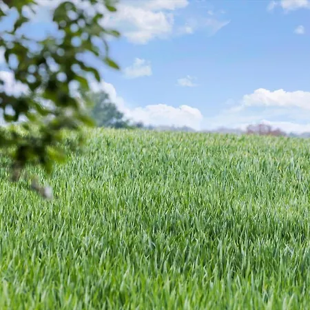 5615-allinge-bohnebakken-21-lejl-2 Apartment *