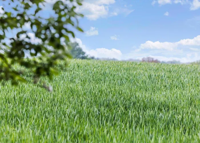 5615-allinge-bohnebakken-21-lejl-2 Apartamento *